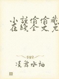 小说偷偷藏不住在线全文免费阅读