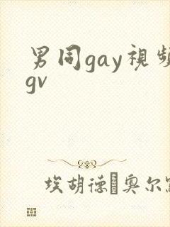 男同gay视频gv