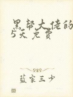 黑帮大佬的365天免费封面