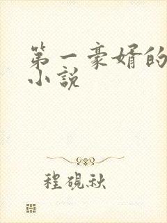 第一豪婿的全部小说