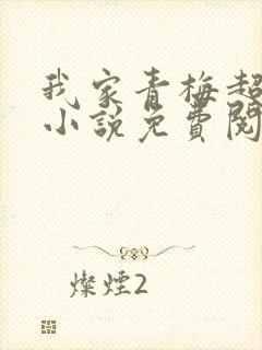 我家青梅超甜的小说免费阅读封面