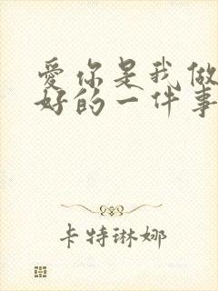 爱你是我做过最好的一件事封面