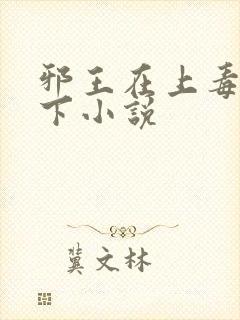 邪王在上毒妃在下小说封面