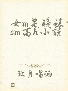 女m是贱婊重口sm高h小说