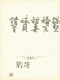 错嫁甜婚总裁的宝贝妻完整小说