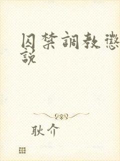 囚禁调教惩罚小说封面