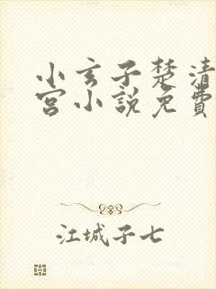 小玄子楚清玄后宫小说免费阅读封面