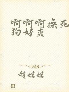 啊啊啊操死你母狗好爽封面