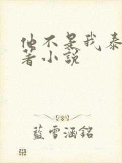 他不是我泰剧原著小说封面