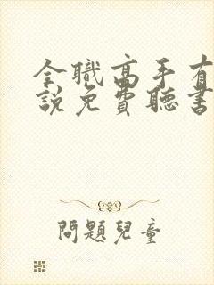 全职高手有声小说免费听书