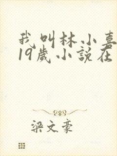 我叫林小喜今年19岁小说在线阅读全文封面