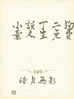 小说丁二狗的肆意人生免费阅读