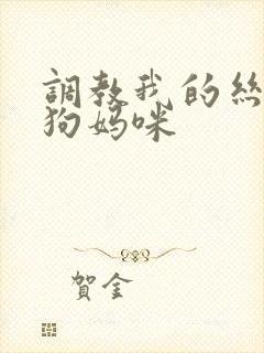 调教我的丝袜母狗妈咪