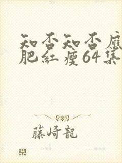 知否知否应是绿肥红瘦64集