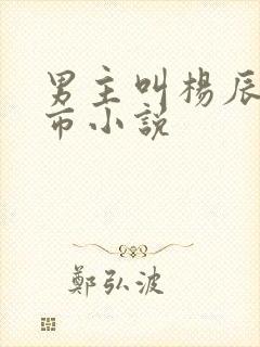 男主叫杨辰的都市小说