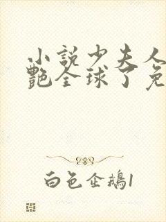 小说少夫人她惊艳全球了免费看封面