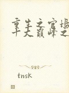 重生之官场小说十大巅峰之作