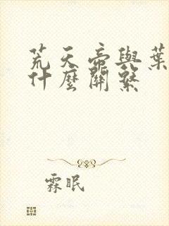 荒天帝与叶天帝什么关系