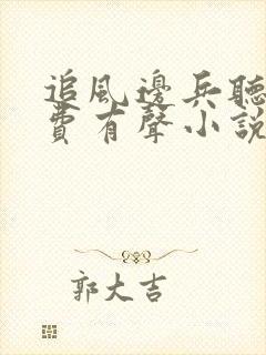 追风边兵听书免费有声小说