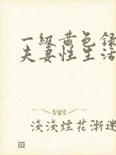 一级黄色录像 夫妻性生活影片