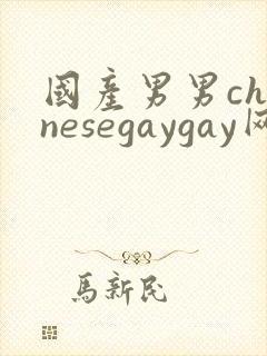 国产男男chinesegaygay网站封面
