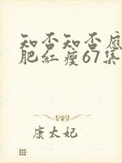 知否知否应是绿肥红瘦67集