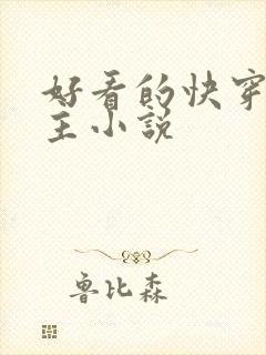 好看的快穿双男主小说封面