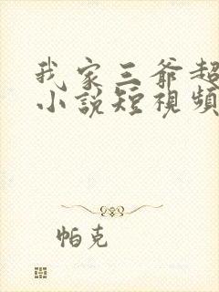 我家三爷超宠的小说短视频