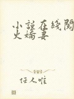 小说在线阅读惹火娇妻