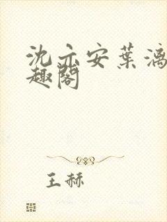 沈亦安叶漓烟笔趣阁封面