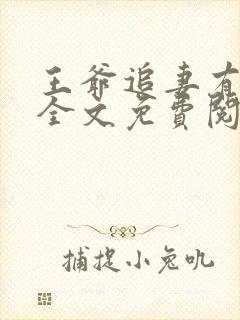 王爷追妻有心计全文免费阅读