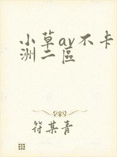 小草av不卡亚洲二区