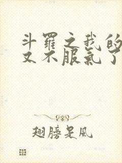 斗罗之我的系统又不服气了小说免费阅读