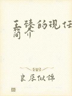 王臻的现任丈夫简介