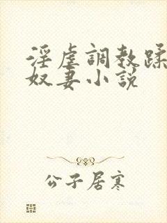 淫虐调教蹂躏共奴妻小说封面