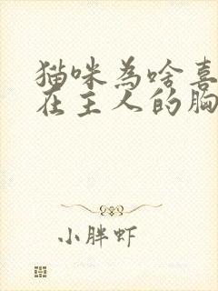 猫咪为啥喜欢趴在主人的胸口封面