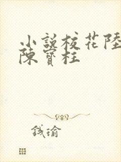 小说校花陆冰嫣陈宝柱