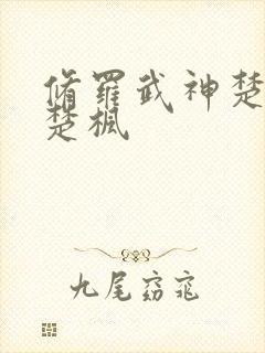 修罗武神楚枫 楚枫