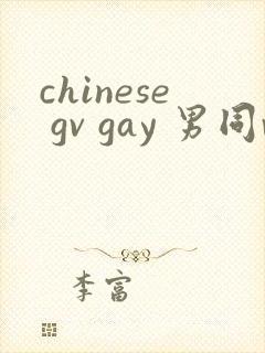 chinese gv gay 男同video在线观看封面