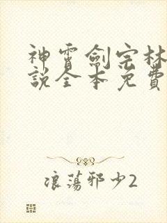 神霄剑宗林枫小说全本免费阅读