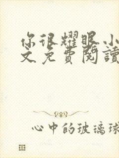 你很耀眼小说全文免费阅读封面