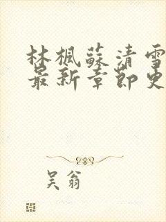 林枫苏清雪小说最新章节更新时间表封面