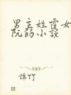 男主姓霍女主姓阮的小说