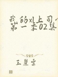 我的xl上司令第一季02集免费观看最新封面