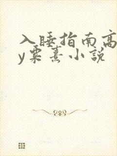 入睡指南高干by粟熹小说