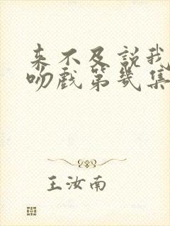 来不及说我爱你吻戏第几集