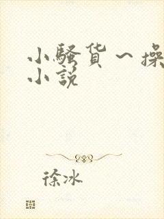 小骚货～操死你小说