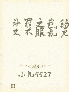 斗罗之我的系统又不服气免费阅读