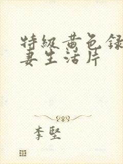 特级黄色录像夫妻生活片