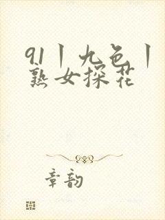 91丨九色丨老熟女探花